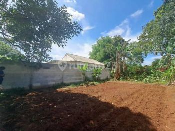 Shm, 200 Meter Alun alun Legok, Terima Lahan Matang