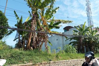 TANAH KOTAK SIAP BANGUN DI KAWASAN PENDIDIKAN JATINANGOR COCOK BUAT KOS-KOSAN