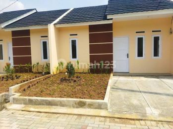 Rumah 1 lantai nuansa alami dekat kampus UIN SMH Banten