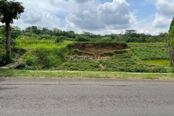 Tanah Strategis Tepi Jl Raya Mojogedang