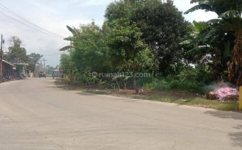 TANAH INDUSTRI DI WANAHERANG - GUNUNG PUTRI - BOGOR