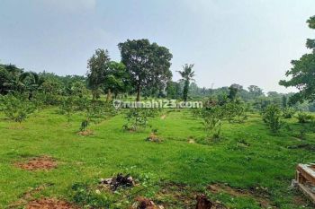 Tanah Kavling Murah di Bojongsari Sawangan Depok Jawa Barat