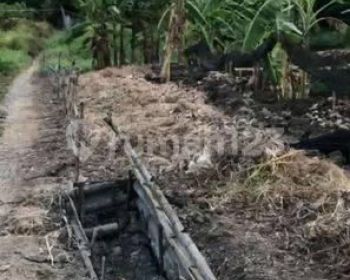 DEKAT CITRALAND DRIYOREJO Tanah Randegansari Luas 1000 Meter