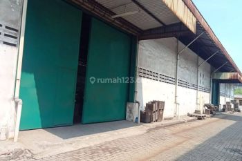 Di Sewakan Gudang KBN Marunda di Kbn Marunda , Cilincing Gudang