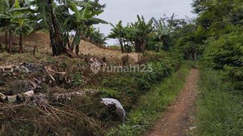 Tanah SUPER VIEW diAwiligar 20000 m². SHM