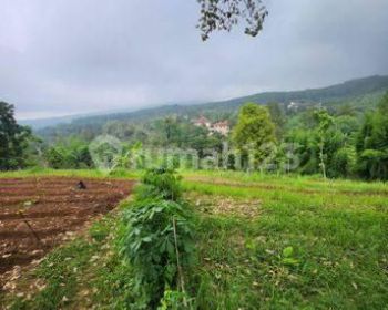 Prigen, Dayurejo. lahan siap bangun. Area komersial