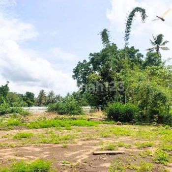 Tanah Jogja Utara, 7 Menit Kampus Uii Pusat Jakal, 1 Jutaan