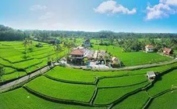 Ruang-usaha di Ubud, Gianyar 5.630 m Bagus