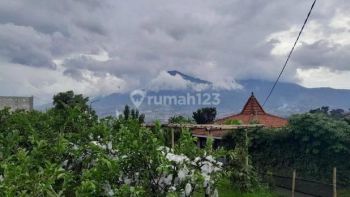 Tanah Dijual Kota Batu Dekat Museum Angkut Cocok Bangun Vila