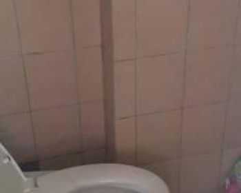 Green pramuka Unit ORCHID 2 KAMAR Lt 7 dan SURAT Notaris