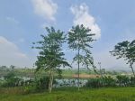 thumbnail-view-nyaman-bikin-relax-tanah-keren-area-kota-baru-parahyangan-2