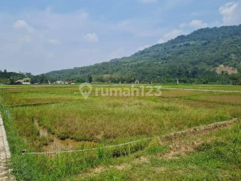 Dijual Kavling Sawah E5 Jonggol Bogor Timur