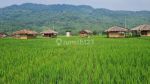 thumbnail-dijual-kavling-sawah-e5-jonggol-bogor-timur-7