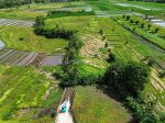 thumbnail-green-belt-view-land-kedunggu-bali-9