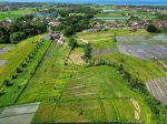 thumbnail-green-belt-view-land-kedunggu-bali-7