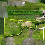 thumbnail-green-belt-view-land-kedunggu-bali-2