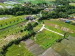 thumbnail-green-belt-view-land-kedunggu-bali-5