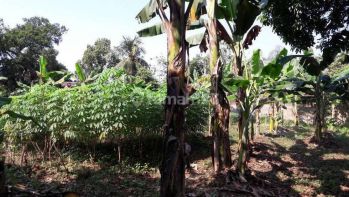 Tanah di Bantar Gebang Luas Cocok Untuk Pabrik Atau Gudang