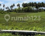 thumbnail-tanah-strategis-murah-utk-hotel-resort-13ha-shm-banyuwangi-1