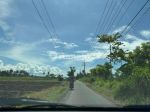 thumbnail-tanah-strategis-murah-utk-hotel-resort-13ha-shm-banyuwangi-2