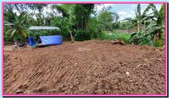 Tanah Dijual Murah Magelang, Dekat Candi Borobudur