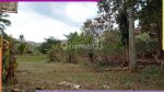 thumbnail-hot-price-rumah-asri-panorama-kota-di-sindanglaya-bandung-255h5-2