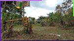 thumbnail-top-kavling-siap-bangun-panorama-kota-sindanglaya-bandung-265h6-4