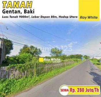 Disewakan Tanah Gentan, Baki