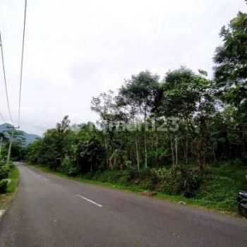 Jual Tanah Pinggir Jalan Cocok Peternakan Dan Usaha di Maniis Purwakarta