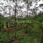 thumbnail-jual-tanah-pinggir-jalan-cocok-peternakan-dan-usaha-di-maniis-purwakarta-1