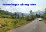 thumbnail-jual-tanah-pinggir-jalan-cocok-peternakan-dan-usaha-di-maniis-purwakarta-5