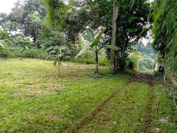 Tanah Harga Menarik Di Pinggir Jalan Ter- Strategis Se - Sawangan