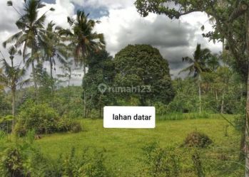 Dijual lahan Di Ubud depan resort Anantara view Jungle dan sungai