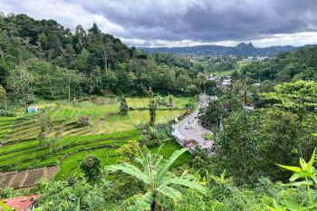 Tanah Strategis Tepi Jl Raya Tawangmangu Karanganyar