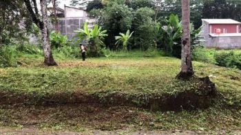 DiJual Tanah Pekarangan Murah Di Kalisegoro Gunungpati Semarang Dekat Kampus