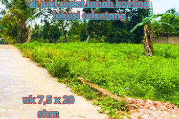 tanah kavling loaksi celentang
