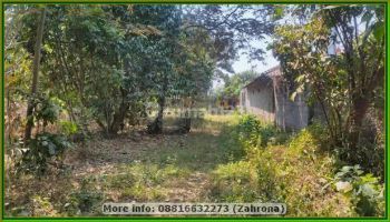 Tanah Kalasan, Dekat Lpmp Dan Candi Prambanan, 2jtan