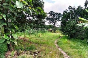 Tanah Industri kabupaten Sumedang *