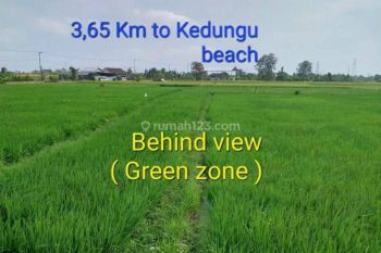 Disewakan Tanah Kecil 2,82 Are Di Kedungu Tabanan Pd0075