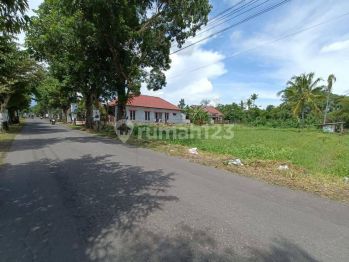 Tanah Pekarangan Murah di Timur Pasar Rejodani Palagan Jogja