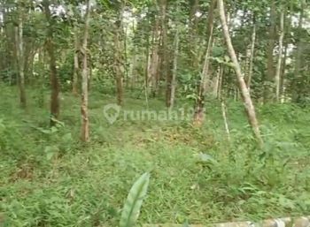 Dijual Lahan di Daerah Mekar Jaya Pandeglang Banten