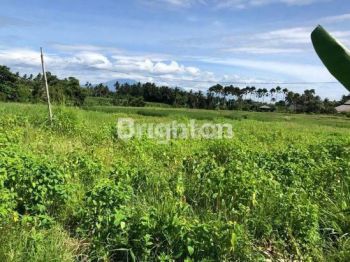 LEASEHOLD LAND IN TABANAN