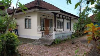 Disewakan rumah sederhana 3 kamar tidur di Dalung