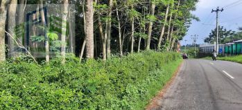 Tanah strategis zona industri di mojosongo boyolali