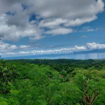 Lahan Pinggir Jalan Aspal Full View Laut Lokasi Nusa Penida