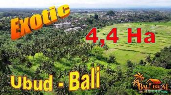 44,000 m2 Tanah di Ubud 8 Menit dari Monkey Forest