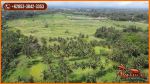 thumbnail-44000-m2-tanah-di-ubud-8-menit-dari-monkey-forest-5