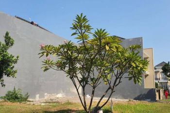 Kavling Villa Riviera Pakuwon City Strategis (Bisa Kpt)