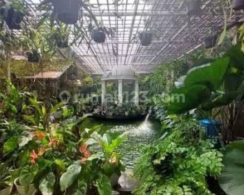 Rumah Siap Huni Di Gandaria Utara Harga Murah Nego