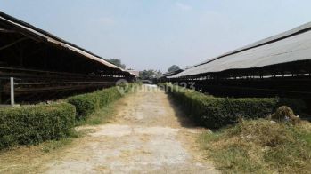 Dijual Tanah Bekas Pertemanan Ayam di Bantar Gebang Bekasi